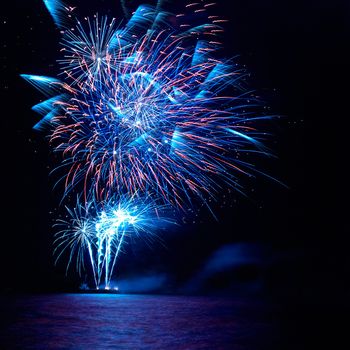 Blue and red colorful holiday fireworks on the black sky background.