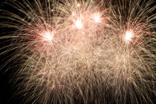 Red colorful holiday fireworks on the black sky background.