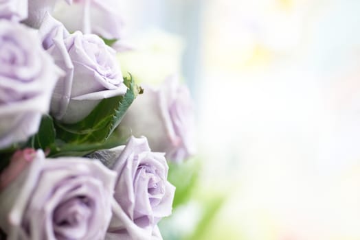 Bunch of violet and purple beautiful roses