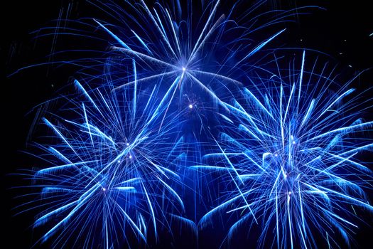 Blue colorful fireworks on the black sky background