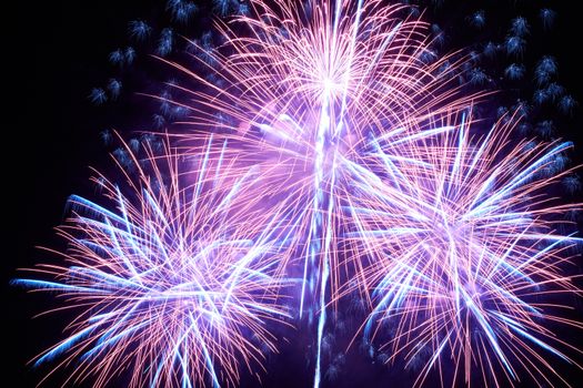 Blue colorful fireworks on the black sky background