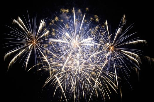 Blue colorful holiday fireworks on the black sky background.