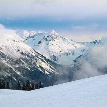 Winter fir trees in mountains covered with fresh snow