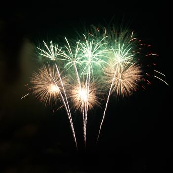 Colorful fireworks on the black sky background