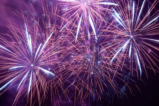 Colorful holiday fireworks on the black sky background.