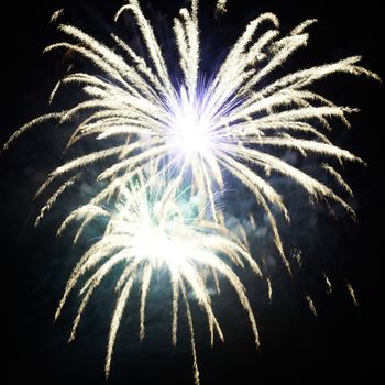 Red colorful holiday fireworks on the black sky background.