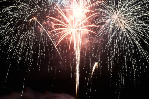 Red and purple colorful holiday fireworks on the black sky background.