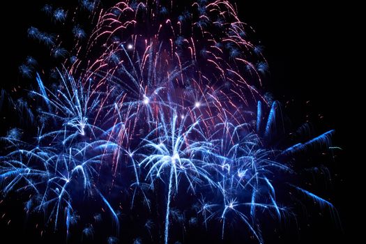 Blue colorful fireworks on the black sky background