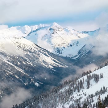 Winter fir trees in mountains covered with fresh snow