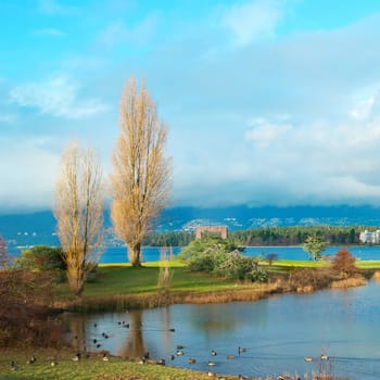 Green park near sea front with skyscrapers on the background. Vancouver, Canada.