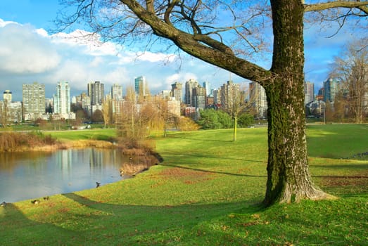 Green park near sea front with skyscrapers on the background. Vancouver, Canada.