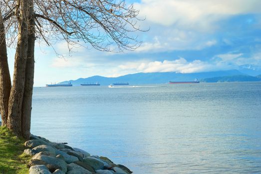 Green park near sea front with skyscrapers on the background. Vancouver, Canada.