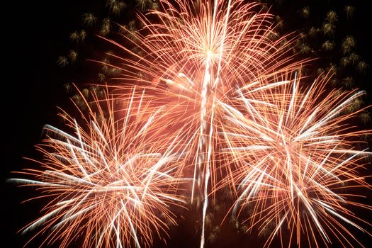 Red colorful holiday fireworks on the black sky background.