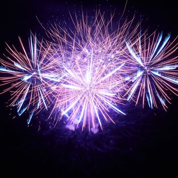 Blue colorful fireworks on the black sky background