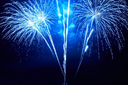 Blue colorful fireworks on the black sky background