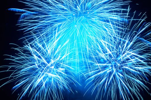 Blue colorful fireworks on the black sky background