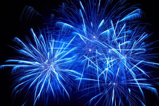 Blue colorful fireworks on the black sky background