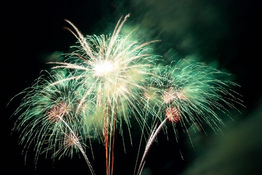 Fireworks, salute with the black sky background