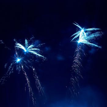 Colorful fireworks on the black sky background