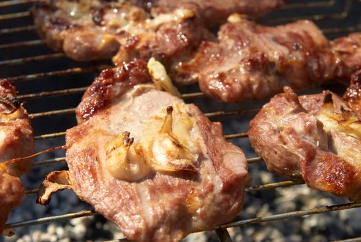 Roasted meat with spices on the barbecue