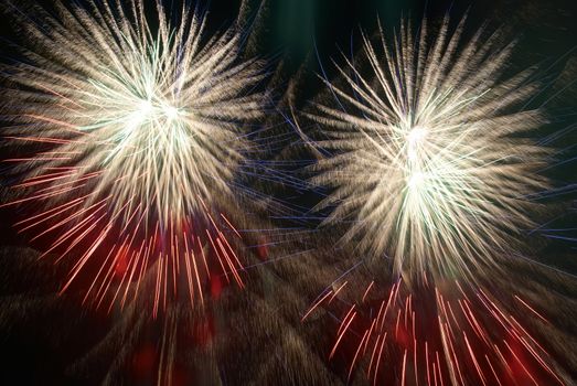 Colorful fireworks on the black sky background