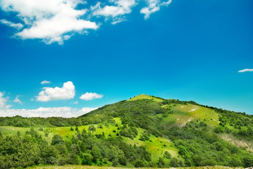 Green mountain covered with forest on the blue sky background