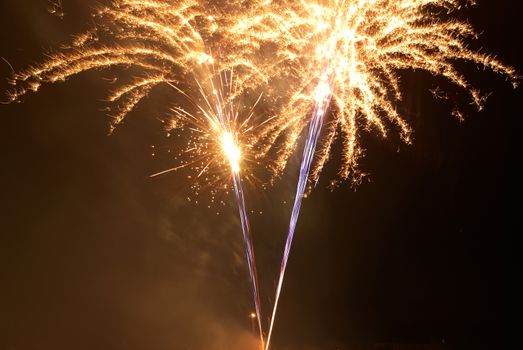 Colorful fireworks on the black sky background