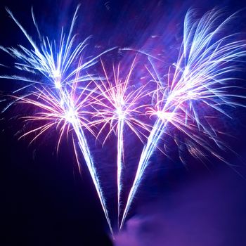 Colorful fireworks on the black sky background