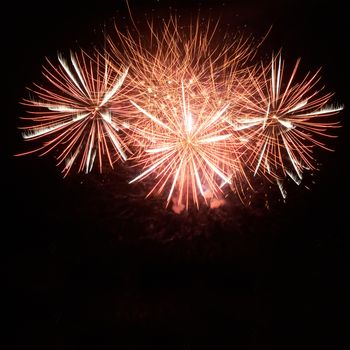 Red colorful holiday fireworks on the black sky background.