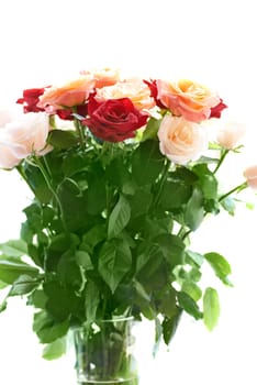 Bouquet of red and white beautiful roses with water drops isolated on white.