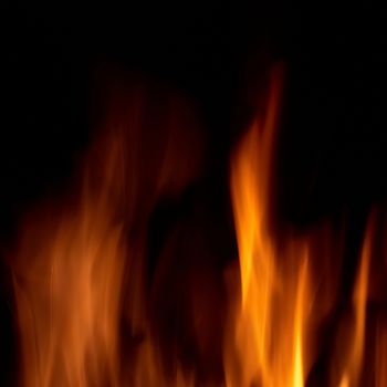 Abstract fire isolated on the black background