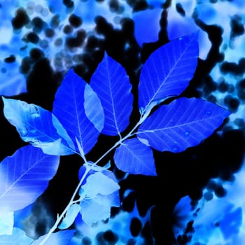 Abstract blue leaves can be used for background