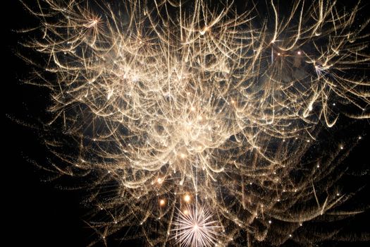 Red colorful holiday fireworks on the black sky background.