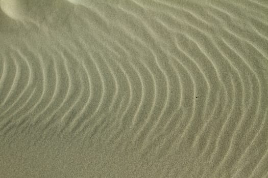At the beach in the summer in Denmark