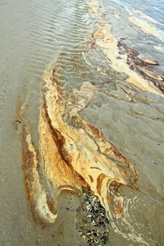 At the beach in the summer in Denmark