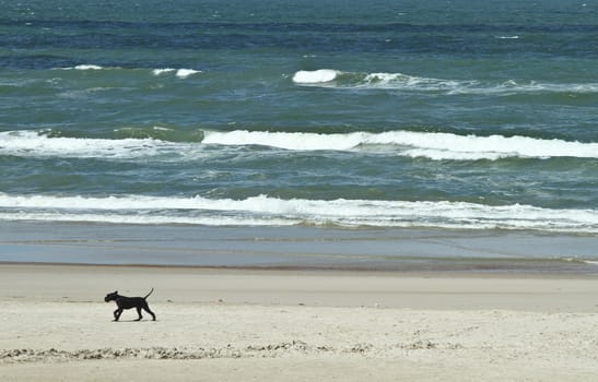 At the beach in the summer in Denmark