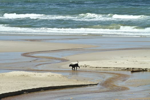 At the beach in the summer in Denmark