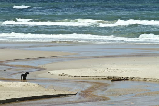 At the beach in the summer in Denmark