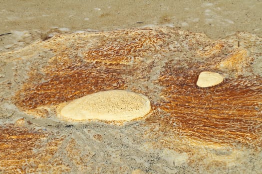 At the beach in the summer in Denmark