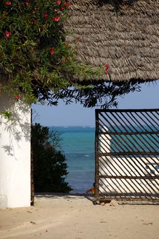 Access to the beautiful turquoise Indian Ocean, Zanzibar.