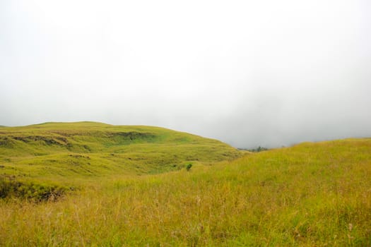 Landscape on mountain with grass and cloud