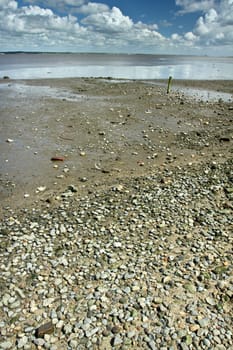 At the beach in the summer in Denmark