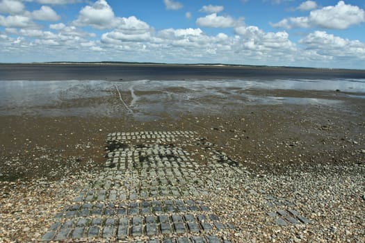 At the beach in the summer in Denmark