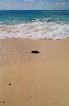 Stone in the sand and the wave behind it.