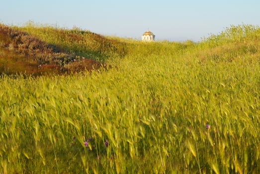 Field of grass and the temple. Antique Chersonesos.