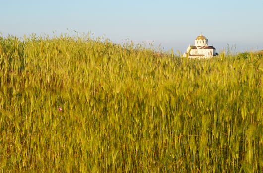 Field of grass and the temple. Antique Chersonesos.