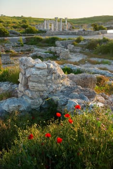 Ruins of antique Chersonesos. Ukraine, Sevastopol.