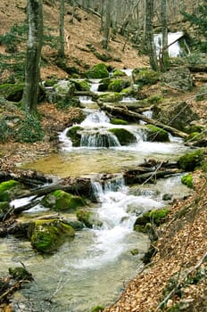 Rapid mountain river in the autumn forest.