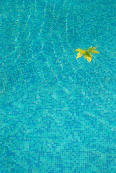 Blue water surface with yellow leaf.