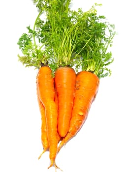 Carrots isolated on white.